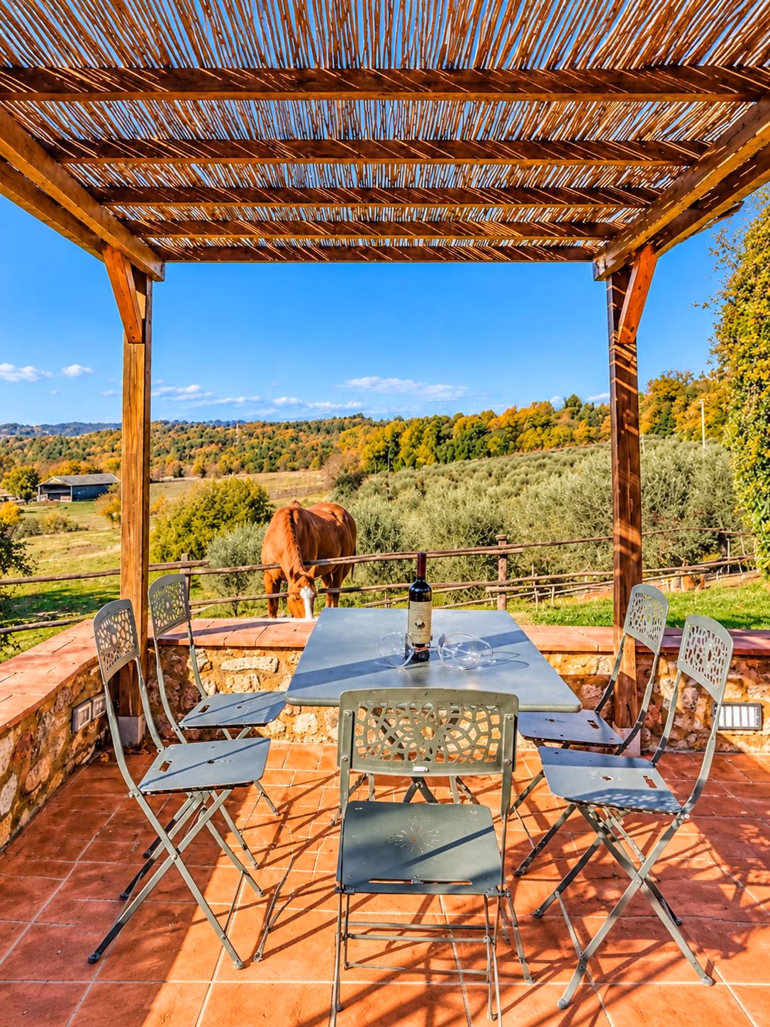 Pergolato dell’agriturismo a Colle Val d’Elsa