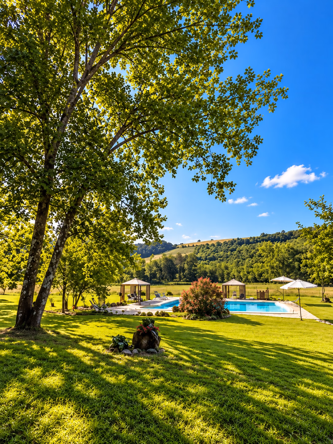 Prato e piscina all’ombra degli alberi